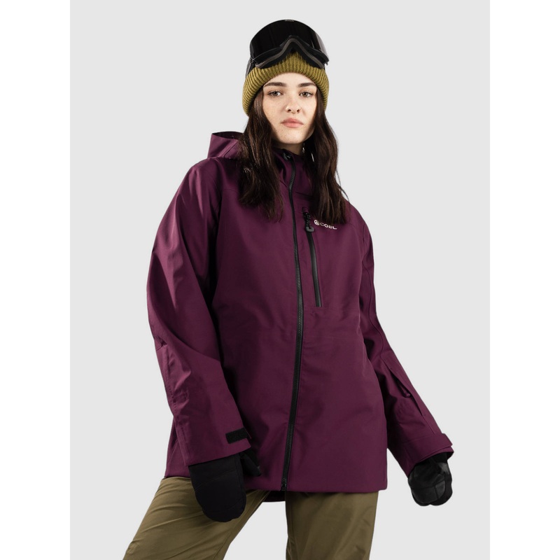 Absaroka 3L Jacket–aubergine