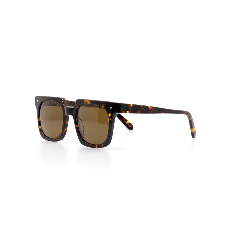 Ace Tortoise Sunglasses